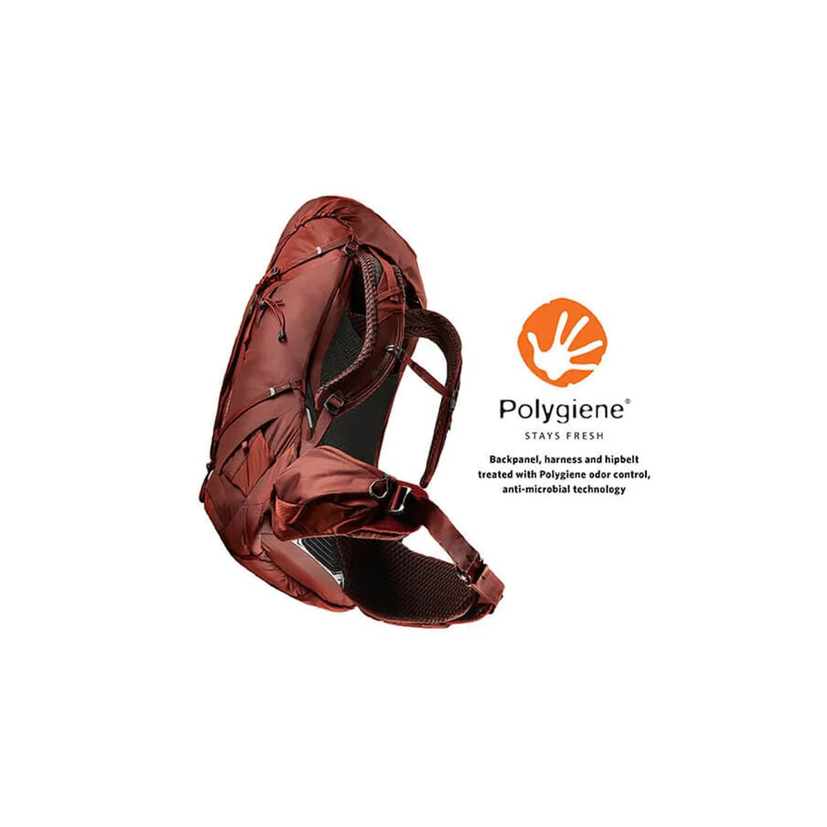 Gregory Baltoro 75 - נקודות חיבור לאביזרים על החגורה