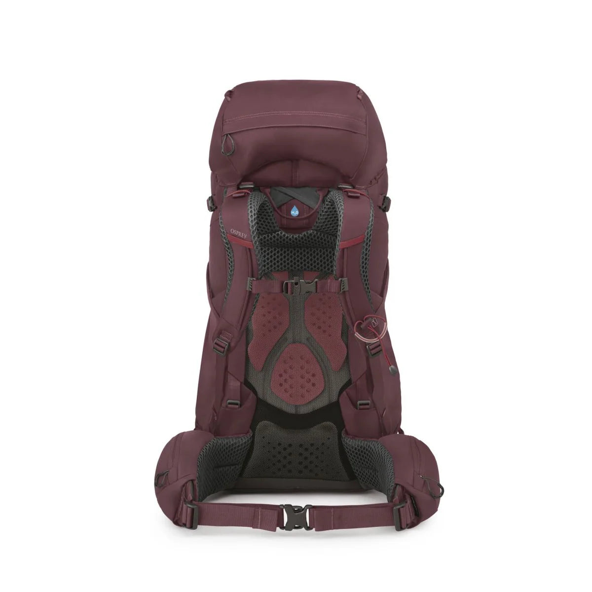 אוספריי Kyte 58: תא חזית גדול + תא צידי