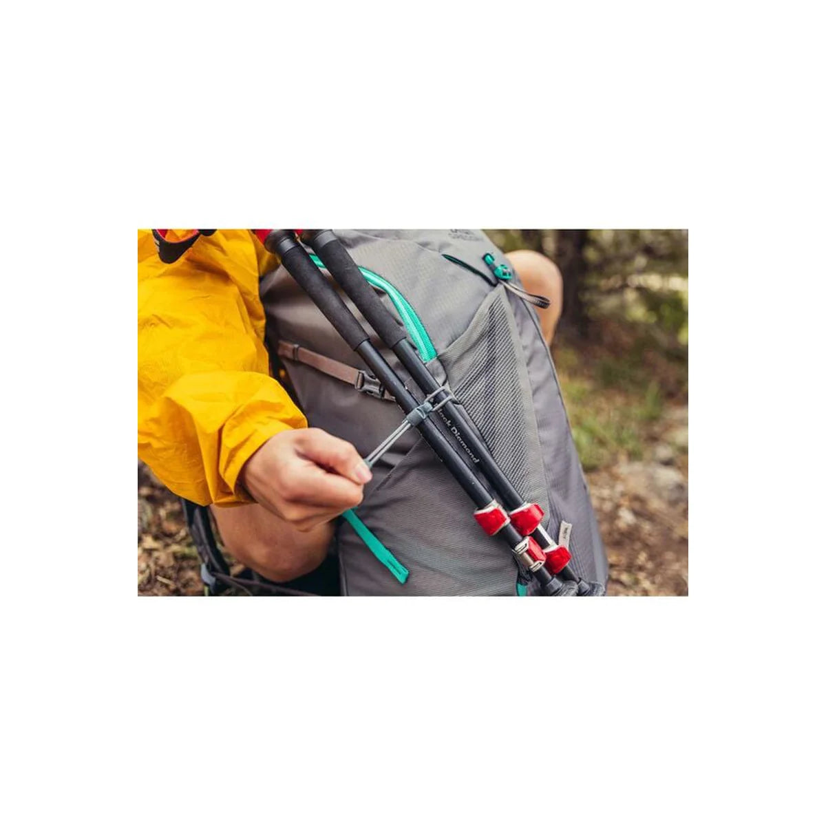 וריאציה של צבע תרמיל טיולים לנשים גרגורי Jade 28