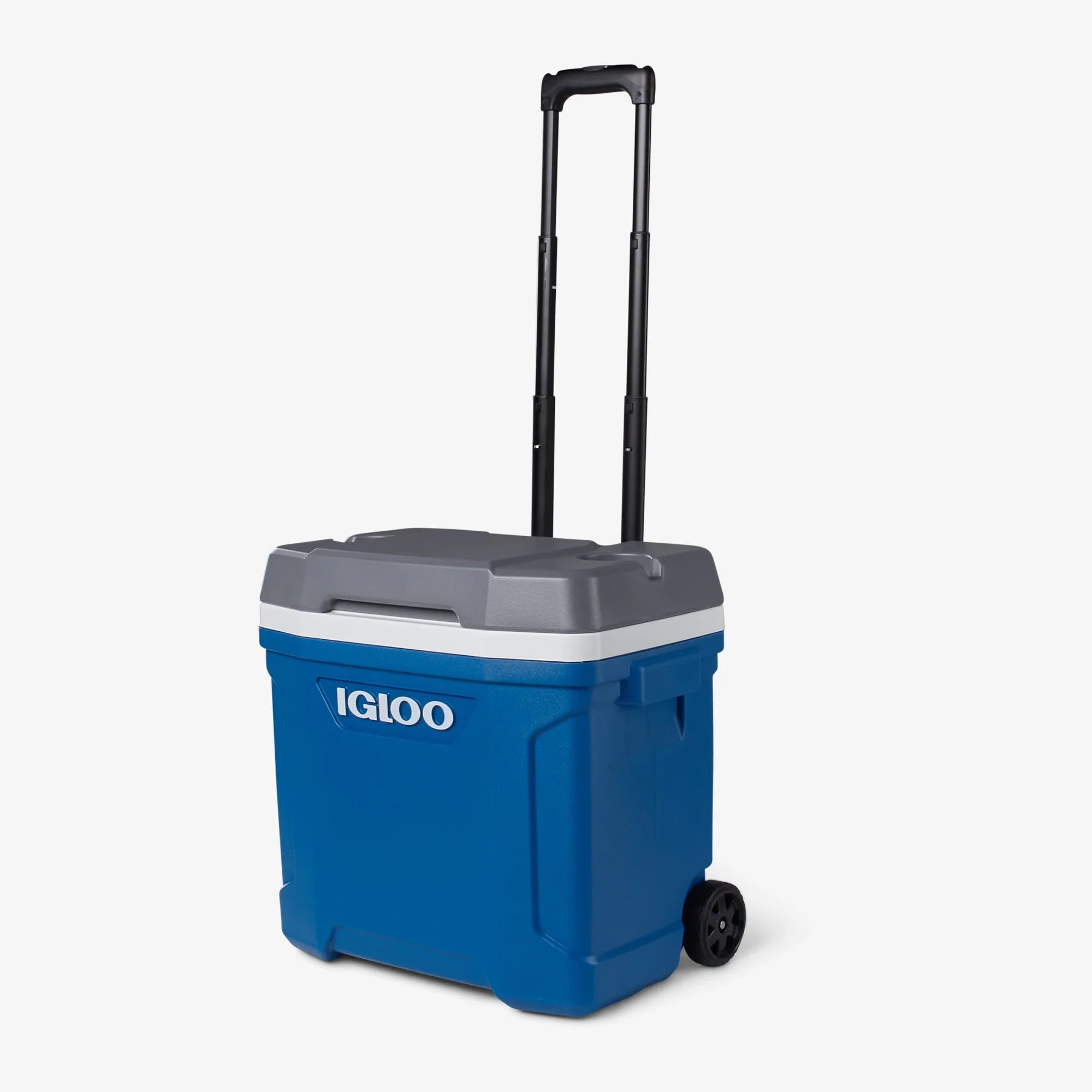 צידנית Igloo Latitude 28L עם ידית טלסקופית