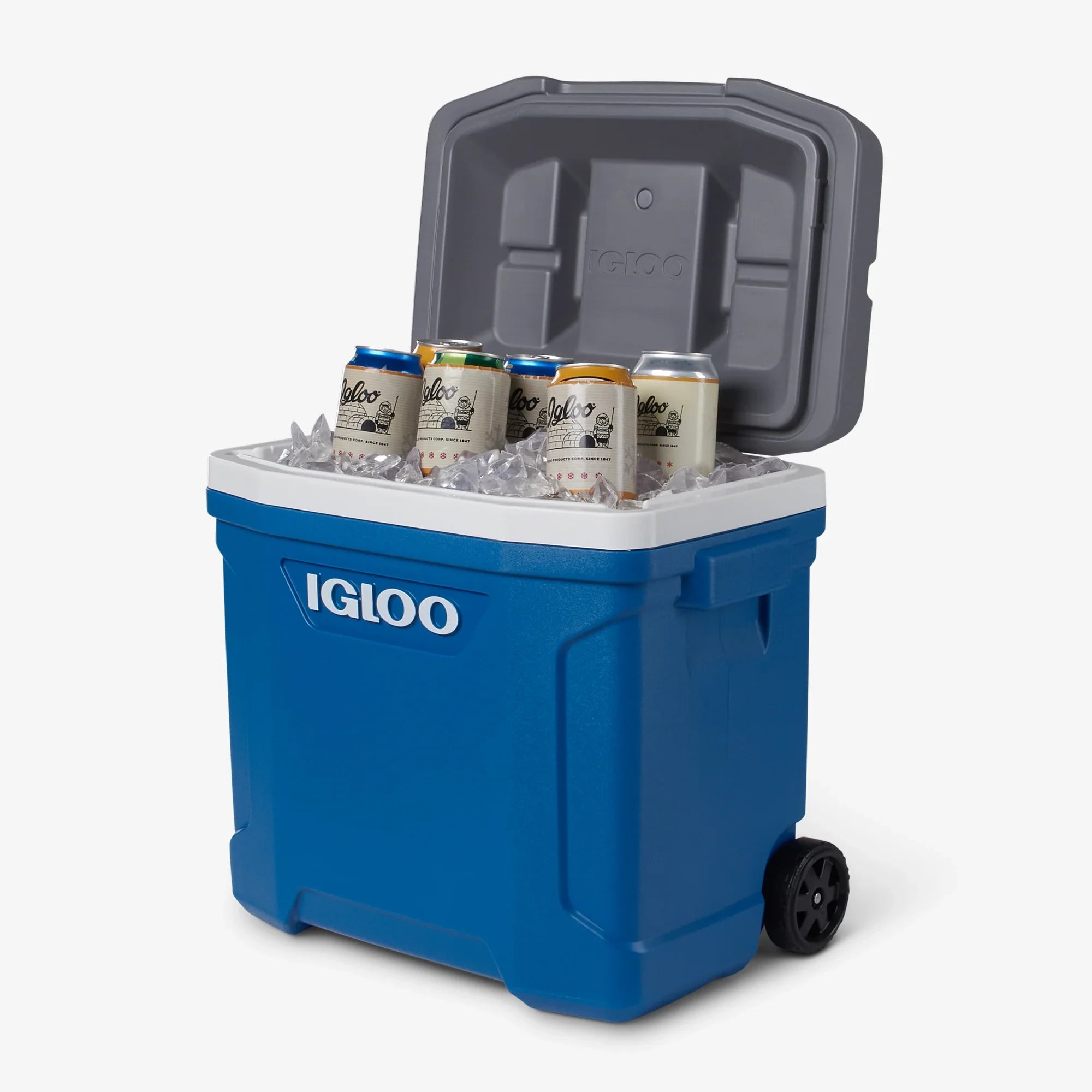 גלגלי צידנית Igloo Latitude 28L לנשיאה קלה
