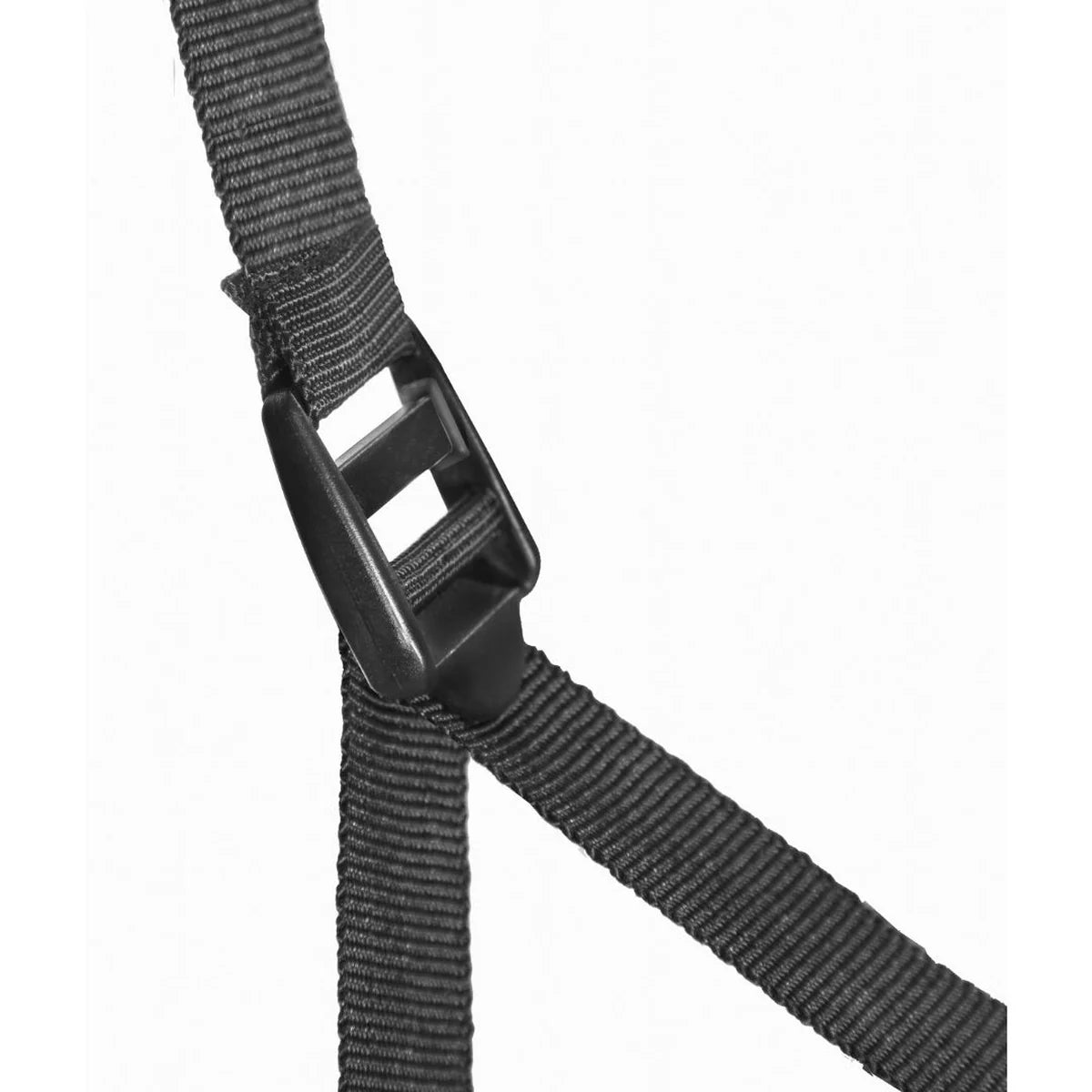 Rapid Cabin 8: רשתות סופר פיין נגד חרקים